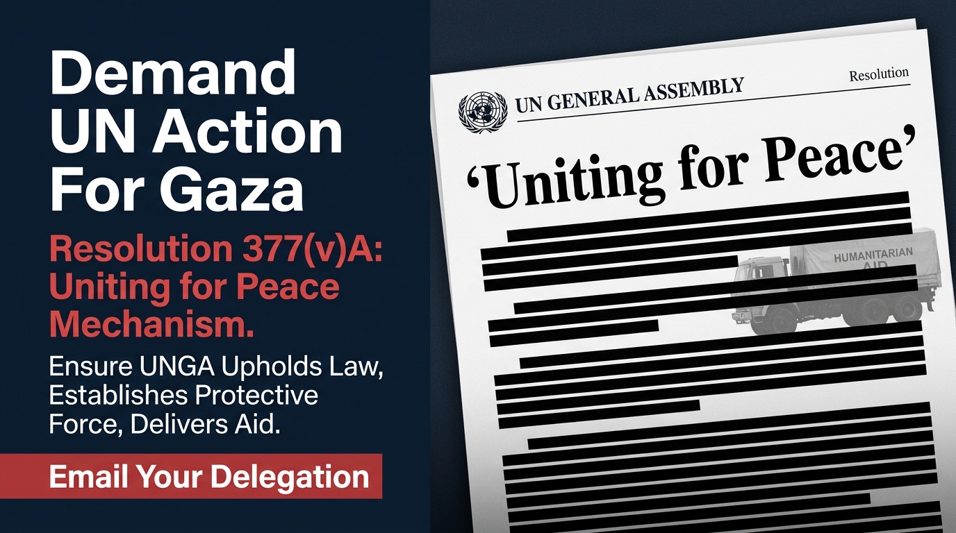 Call on Your Country’s United Nations General Assembly (UNGA) Officials to Take Concrete Actions to Ensure Timely Delivery of the Humanitarian Aid & Uphold International Law