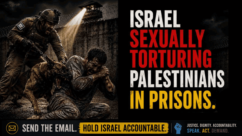 Stop Sexual Torture of Palestinian Prisoners in Israeli Detention