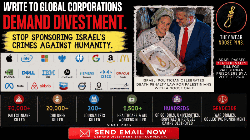 Demand Corporate Divestment from Israel for crimes against humanity in occupied territories